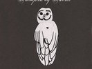 Trampled by Turtles Palomino (Vinyl)
