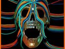 Osees Intercepted Message (Vinyl LP 12