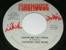Anthony Red Rose - Under Mi Fat Thing