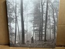 Taylor Swift - Folklore - 2 x Beige Gold Color Vinyl LP In The Trees