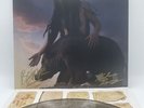 NEW Mannequin Pussy I Got Heaven Full Band SIGNED Black Smoke Vinyl LP Record
