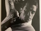 Robbie Williams 2LP Greatest Hits (EMI, 2004, UK)