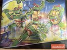 Teenage Mutant Ninja Turtles Nes Vinyl Foil Jacket VGM 1000 LRG Green Ooze