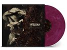 Dying Wish Fragments of a Bitter Memory (Vinyl)