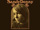 SANDY DENNY - The Early Home Recordings (2023) NEW DOUBLE BROWN VINYl LP. Sealed