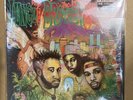 Jungle Brothers/Done By The Forces Of Nature 9260721 Used LP