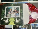 NOFX HOFX 12” original Vinyl Red splatter Fat Wreck chords LIMITED Punk Rock