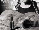 Willie Nelson The Great Divide (Vinyl) 12