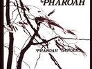 Pharoah Sanders - Pharoah Deluxe Edition (Vinyl 2LP - 2023 - US - Original)
