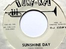 rare garage psych 45 THE FLOWER POWER You Make Me Fly/Sunshine Day NM PROMO