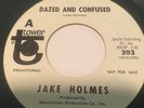 Jake Holmes Dazed And Confused/Penny's Promo RARE Psych,Folk Psych Led Zeppelin