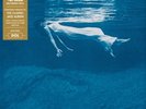 Bill Evans and Jim Hall Undercurrent (Vinyl) (UK IMPORT)