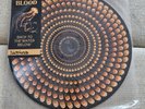 LP - Vinyl - Royal Blood - Back to the Water Below - Picture Disk Numb - NEU OVP