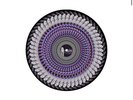 Olivia Rodrigo- Guts Spilled Zoetrope Picture Disc Vinyl- RARE  1/10,000