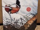 Circa Survive Juturna Orange & White Swirl w/Blue Black Splatter Color Vinyl LP