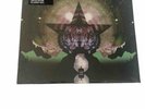 Noel Gallagher's High Flying Birds - Black Star Dancing (12