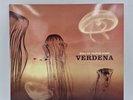 LP ROCK VERDENA SOLO UNA GRANDE SASSO BLACK OUT ROCK ITALY ORIGINALE 2001 RARO