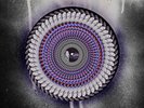 OLIVIA RODRIGO - GUTS (SPILLED) BLOOD RECORDS ZOETROPE VINYL LP - SHIPS SAME DAY