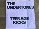 The Undertones Teenage Kicks '78 Rare Original UK F/O Poster PINK 7