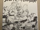 Sick Pleasure - Sick Pleasure 7” USHC Vinyl Record OOP Rare Hardcore Punk KBD