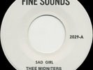 CHICANO SOUL 45s* EAST SIDE SOUL* THEE MIDNITERS * PEACHES AND HERB* LOWRIDERS