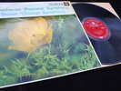 Beethoven: Symphony No. 6 - Fritz Reiner **RCA Living Stereo SB-6510 ED1 LP**