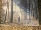 Folklore by Swift, Taylor (Record, 2021)