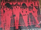 The Varukers-Bloodsuckers LP