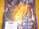 LOOP Sonancy LP & 12