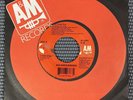 Soundgarden - Black Hole Sun / Spoonman Vinyl 45 On A&M Records VG+