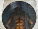Tool Cesaro Summability Vinyl Ænima Picture Disc 12
