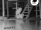 Moskus Papirfuglen (Vinyl) 12