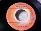 Buddy Ace - PROMO - Screaming Please / What Can I Do - GREAT AUDIO (ORIGINAL)