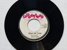 DEVON IRON'S - WHEN JAH COME / THE UPSETTER - IRON DUB [UPSETTERS] 7