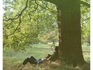 John Lennon - Plastic Ono Band - (Vinyl)