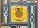 THE DEL COUNTS - What Is The Reason / With Another Guy 45 1966 MN Garage Rock VG