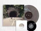 /1000 The Backseat Lovers - When We Were Friends - Smog Colored Vinyl + 7