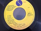 MADONNA - Whos That Girl / White Heat - RARE GUATEMALA 45