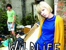 The Lovely Eggs Wildlife (Vinyl) 12