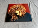 JANET JACKSON – THE VELVET ROPE vinyl LP double album  - excellent condition