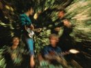 Creedence Clearwater Revival Bayou Country (Vinyl) 12