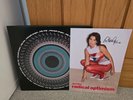 Dua Lipa: Radical Optimism  5000 Blood Records Zoetrope Vinyl LP & SIGNED PRINT