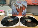 BAT OUT OF HELL II: BACK INTO HELL LP Vinyl