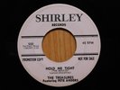The Treasures and Pete Anders pop rock vocal group promo 45 Pete Meets Vinnie