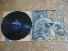 Savoy Brown - 1970 Italy VG/VG+ Looking In LP