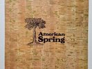 American Spring 1972 UK Pressing Really Nice Vinyl LP Great Condition. UAS 29363