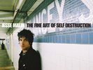 Jesse Malin The Fine Art of Self Destruction (Vinyl) 20th Anniversary  12