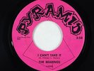 Garage 45 - Bearings - I Can't Take It/Anything You Want - Pyramid - VG+