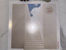 Surrender by Rufus Du Sol (Record, 2022)