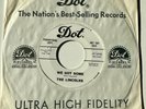 rare Garage 45 THE LINCOLNS on DOT Pop Kat and We Got Some NM Promo